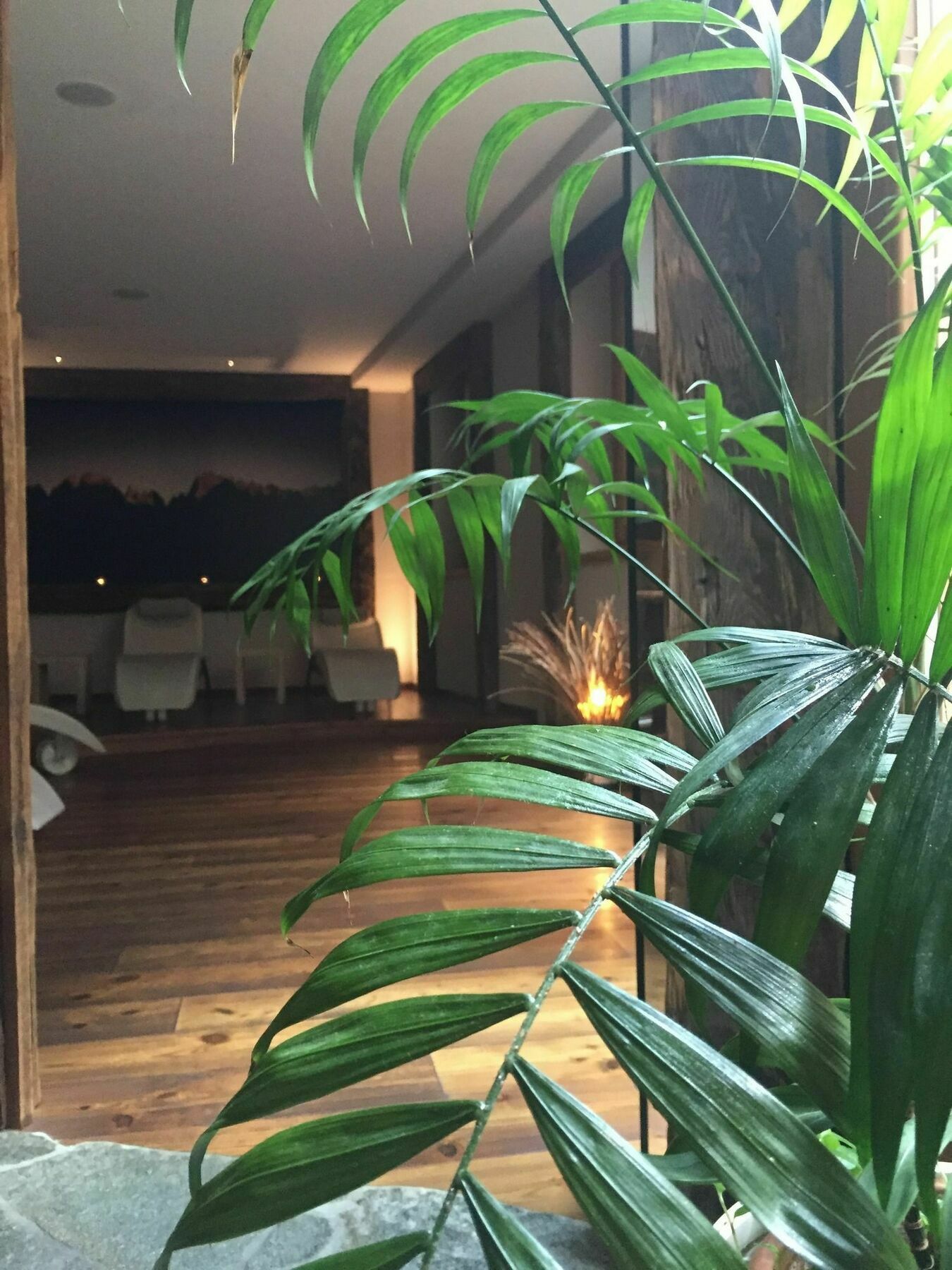 Maribel Hotel Madonna Exterior foto